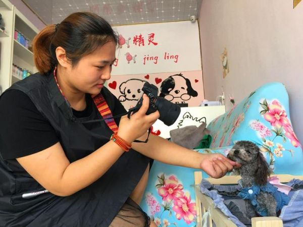 安徽90后女孩不爱红装爱猫狗 开宠物店月入万元