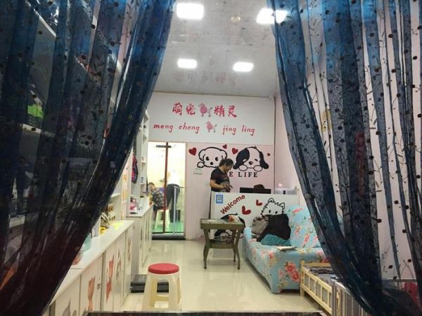 安徽90后女孩不爱红装爱猫狗 开宠物店月入万元