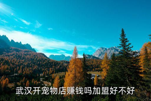 武汉开宠物店赚钱吗加盟好不好