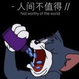 脑残酸菜面