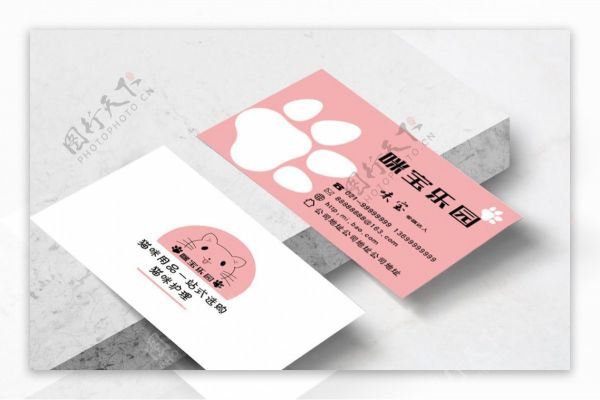 宠物店宠物猫名片