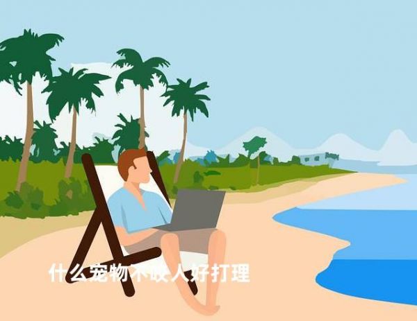 什么宠物不咬人好打理