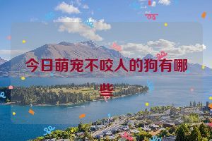 今日萌宠不咬人的狗有哪些