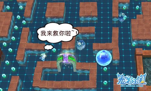 夺宝考验智慧与合作