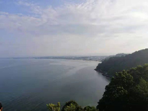 兽医专业怎么样,兽医专业,兽医专业大学排名
