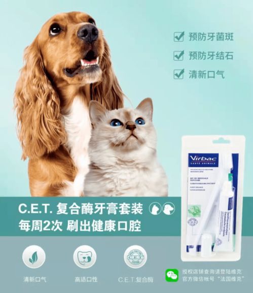 “宠物囤粮必备神器盘点！”