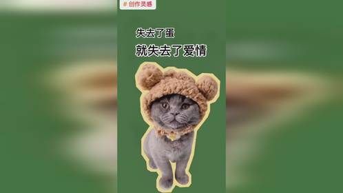 你以为小猫咪失去的只是一个蛋？它失去的是爱情啊！！！