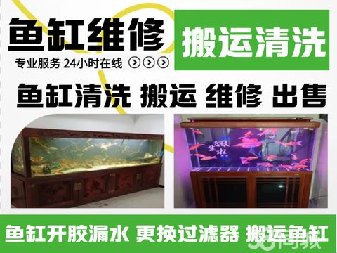 专业维修鱼缸水族服务·维修鱼缸维修，鱼缸维护搬运安装调水质换水泵洗鱼缸家庭保洁，鱼缸清洗服务