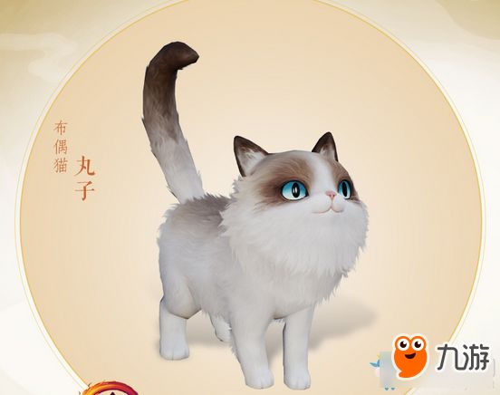 《剑网3》猫咪挂宠介绍