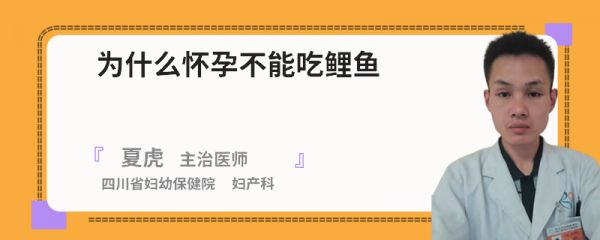 为什么怀孕不能吃鲤鱼