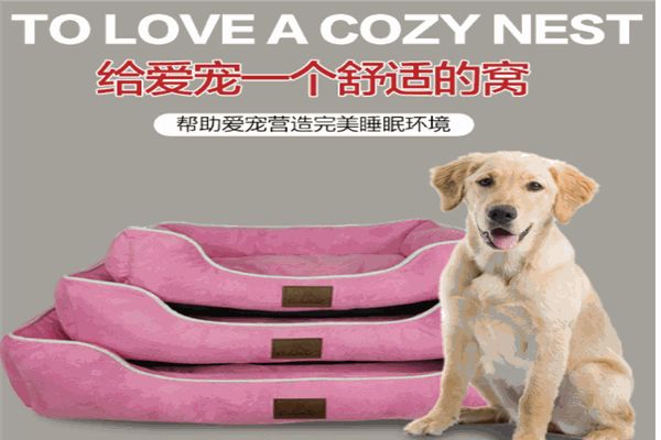 宠友友宠物用品