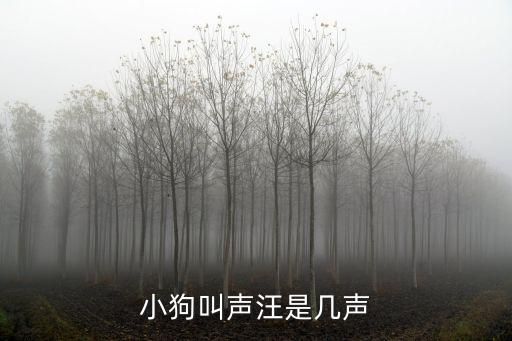 小狗叫声汪是几声