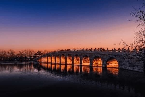 不怎么花钱的宠物狗（不怎么花钱的宠物狗叫什么）