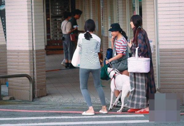 台媒曝郭碧婷有孕！直击她挺6月孕肚现身街头，向太盼她回港待产