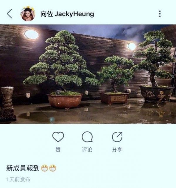 台媒曝郭碧婷有孕！直击她挺6月孕肚现身街头，向太盼她回港待产