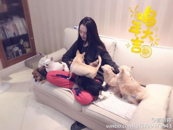 郭碧婷坦诚被100多人追求，不善聊天至今单身，养60只宠物陪自己