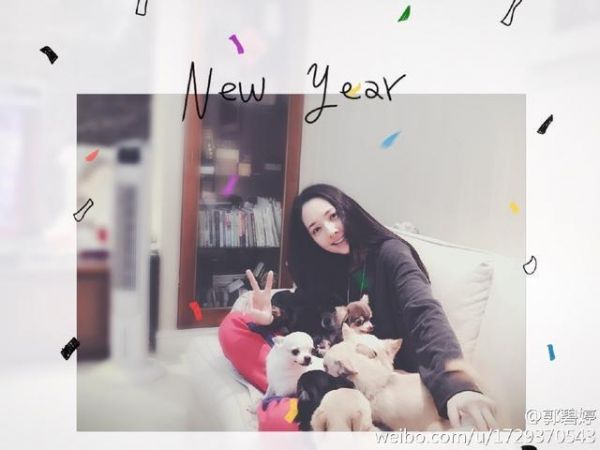 郭碧婷坦诚被100多人追求，不善聊天至今单身，养60只宠物陪自己