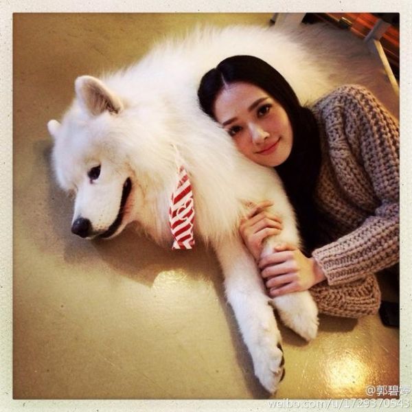 郭碧婷坦诚被100多人追求，不善聊天至今单身，养60只宠物陪自己