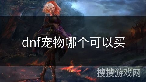 dnf宠物哪个可以买