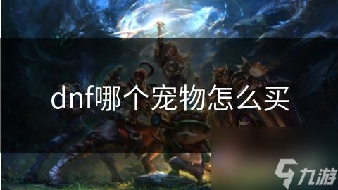 dnf哪个宠物怎么买