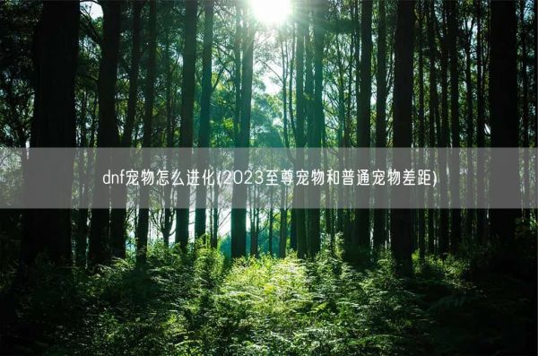 dnf宠物怎么进化(2023至尊宠物和普通宠物差距)(图1)
