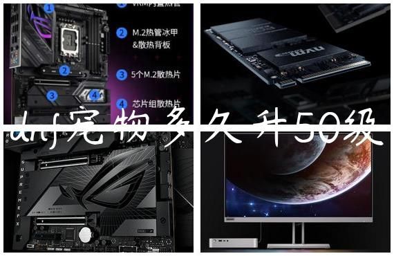 dnf宠物多久升50级