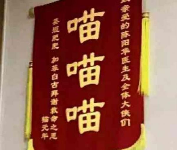 宠物医院里的奇葩锦旗，感觉有点吓人，网友：我就服最后一个