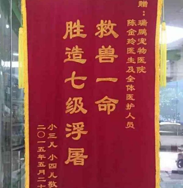 宠物医院里的奇葩锦旗，感觉有点吓人，网友：我就服最后一个