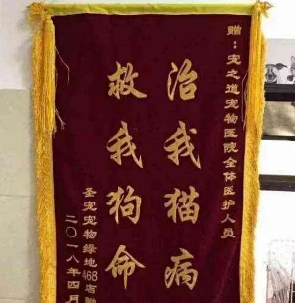 宠物医院里的奇葩锦旗，感觉有点吓人，网友：我就服最后一个