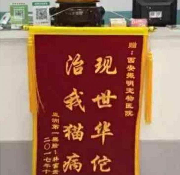 宠物医院里的奇葩锦旗，感觉有点吓人，网友：我就服最后一个