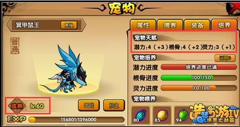 造梦西游4宠物额外天赋点达到几点之后可以进行超进化？