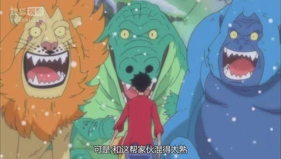 海贼王，路飞的八只动物小弟，一只当了船长，三只算是路飞的陪练