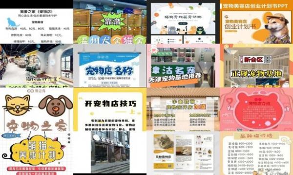 宠物店的简介