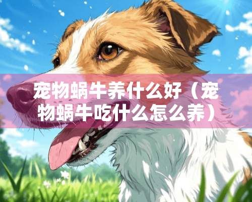 宠物蜗牛养什么好（宠物蜗牛吃什么怎么养）