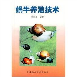 宠物蜗牛怎么养？初养者必看的蜗牛饲养指南