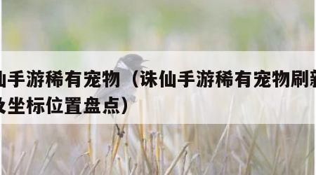 诛仙手游稀有宠物（诛仙手游稀有宠物刷新时间及坐标位置盘点）