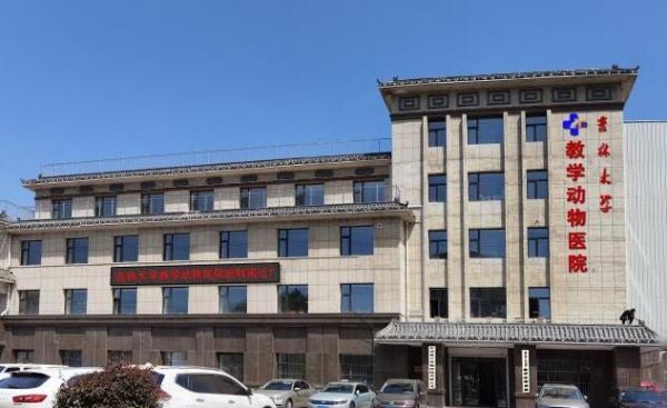长春哪家宠物医院做绝育比较好