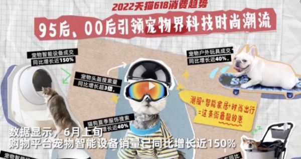 从“养”宠物到“养好”宠物，宠物智能用品火了