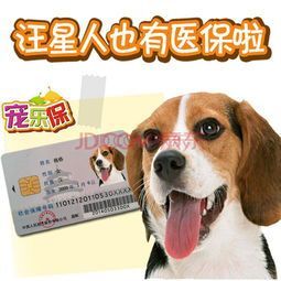 惠州宠物市场：了解市场趋势和宠物养护知识？惠州宠物市场排行榜