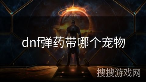 dnf弹药带哪个宠物
