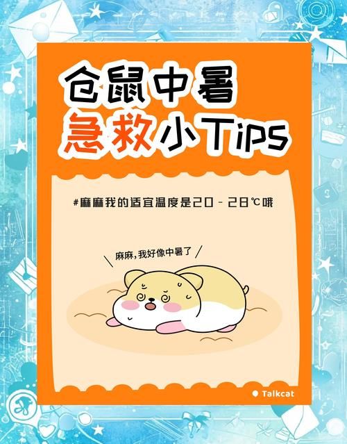 仓鼠的指头-仓鼠指头断了怎么办