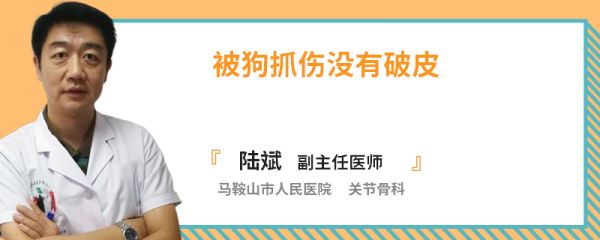 被狗抓伤没有破皮