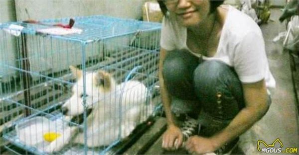 你想要的宠物托运内容，这里都有