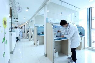 枣庄宠物医院：宠物健康护理指南？常见宠物疾病预防与治疗