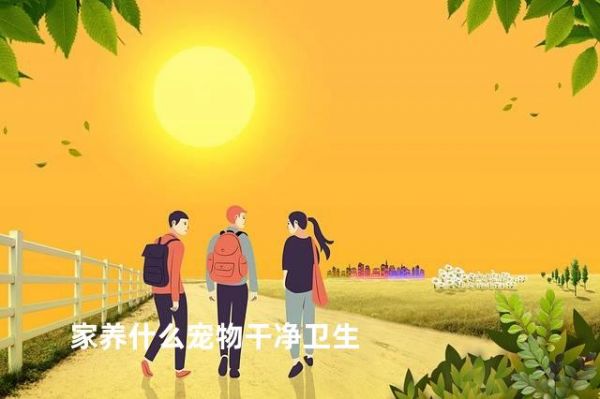 家养什么宠物干净卫生