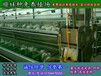 湘潭野兔子周边养兔场