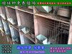 湘潭散养野兔苗市场价格