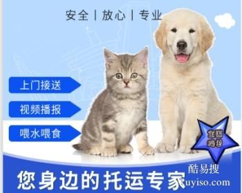 金华本地宠物托运 猫狗托运 上门接送 价格优惠