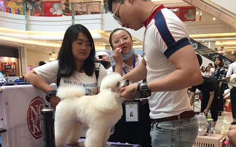 授课现场