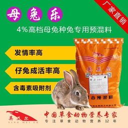 吃草的宠物：如何为你的兔子提供最佳饮食？营养均衡的兔子饲料推荐